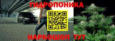 PSILOCYBIN Новодвинск
