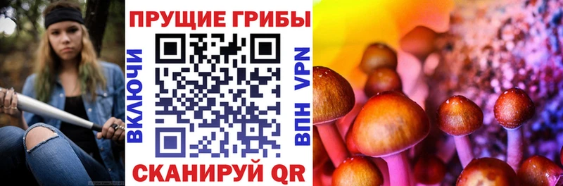 даркнет сайт Волхов Галлюциногенные грибы мухоморы