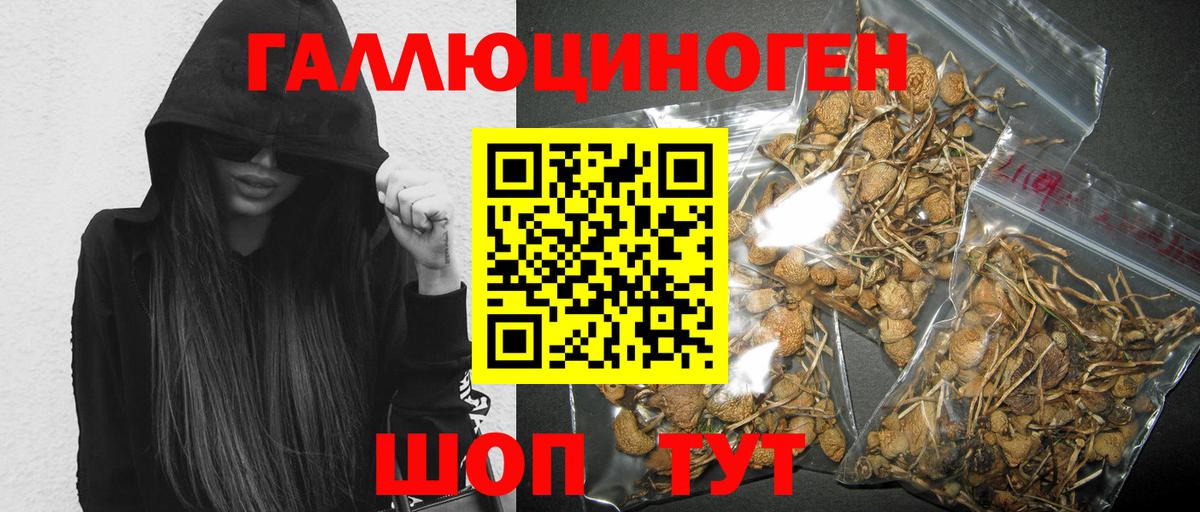 Галлюциногенные грибы GOLDEN TEACHER  Вход с VPN  Волхов 